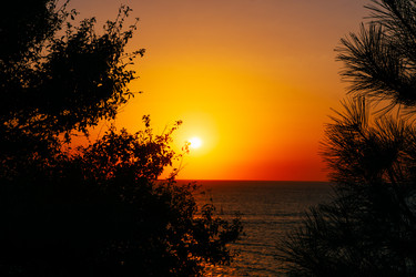 Similar image 21655151