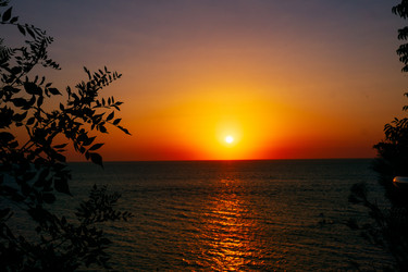 Similar image 21655160