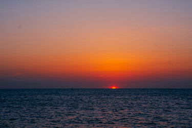 Similar image 21655333