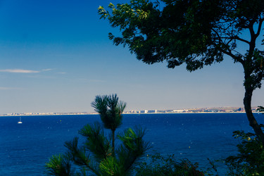 Similar image 21648886