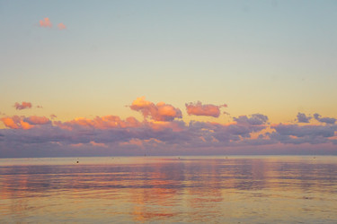 Similar image 21654603