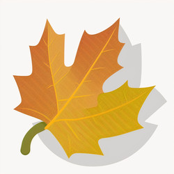 Similar image 21634972