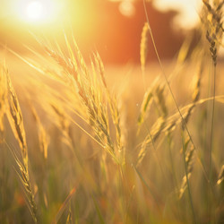 Similar image 21634903