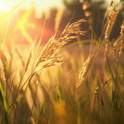 Similar image 21634904