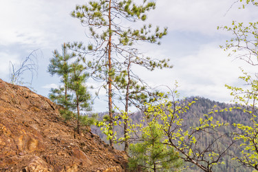 Similar image 21648889