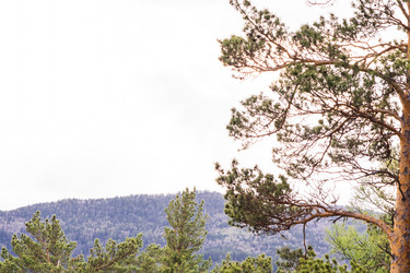 Similar image 21651970