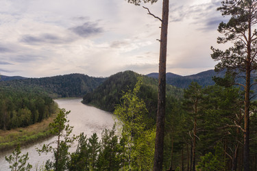 Similar image 21651985