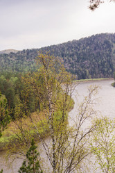 Similar image 21651992