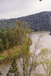 Similar image 21651996