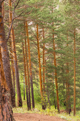 Similar image 21652002