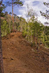 Similar image 21652004