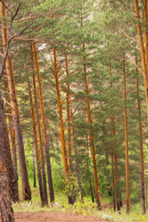 Similar image 21652006