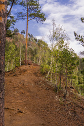 Similar image 21654605