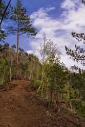 Similar image 21654611