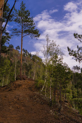 Similar image 21654996