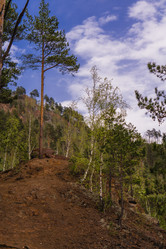 Similar image 21654998