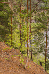 Similar image 21655000