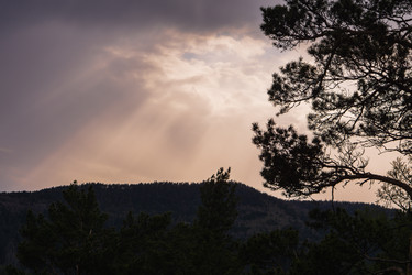 Similar image 21655003