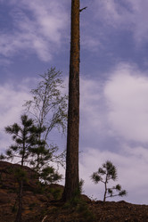 Similar image 21655010