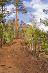 Similar image 21655012