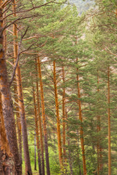 Similar image 21655014