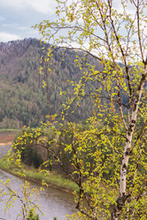 Similar image 21655018