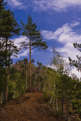 Similar image 21655023