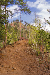 Similar image 21655025