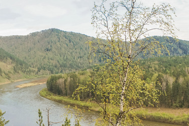 Similar image 21655029