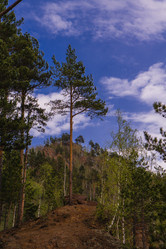 Similar image 21655031