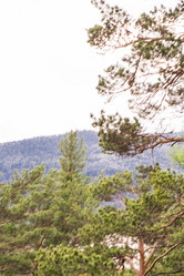 Similar image 21655036