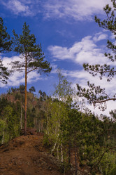 Similar image 21655040