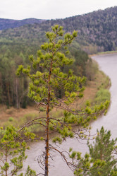 Similar image 21655041