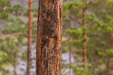 Similar image 21655170