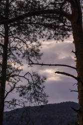 Similar image 21655172