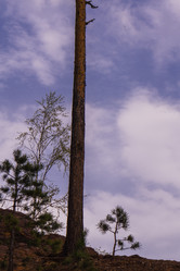 Similar image 21655175