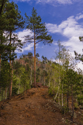 Similar image 21655177