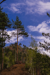 Similar image 21655179