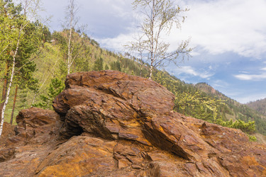 Similar image 21655186