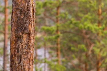 Similar image 21655188