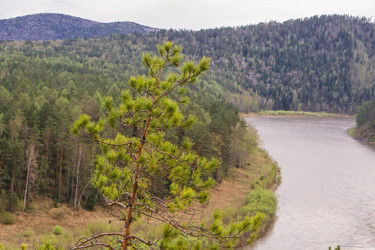 Similar image 21655189