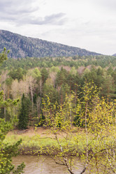 Similar image 21655195