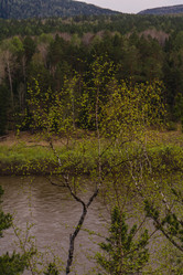 Similar image 21655197