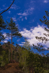 Similar image 21655199