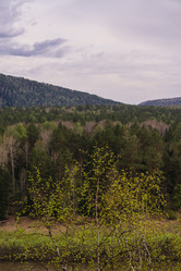 Similar image 21655201