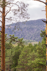 Similar image 21655203