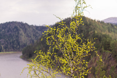 Similar image 21655347