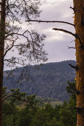 Similar image 21655348