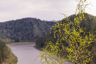 Similar image 21655350