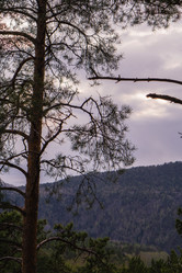 Similar image 21655352